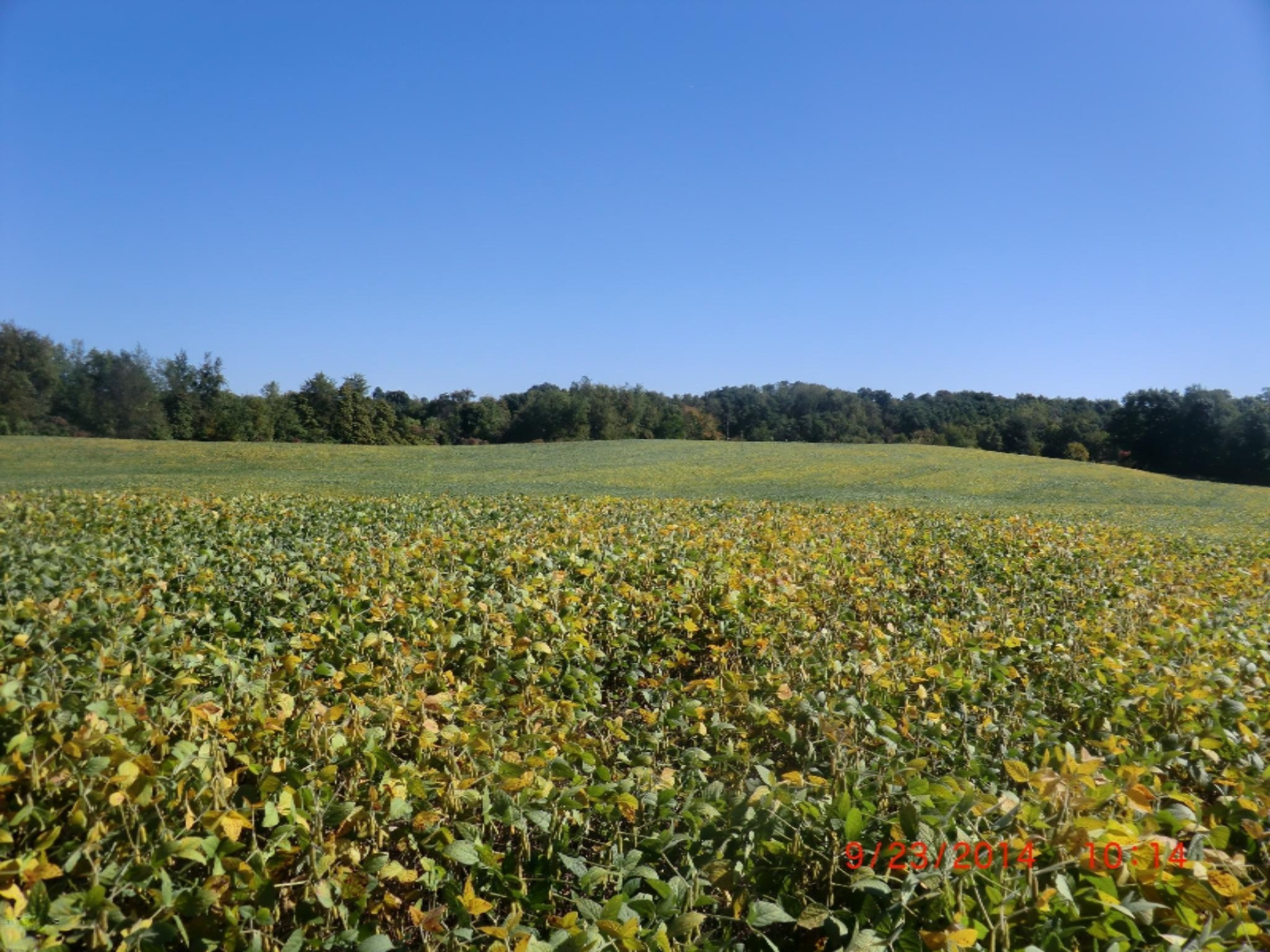 V/l Cassopolis Road Cassopolis, MI 49031 - Photo 12 of 15 CIMG9521