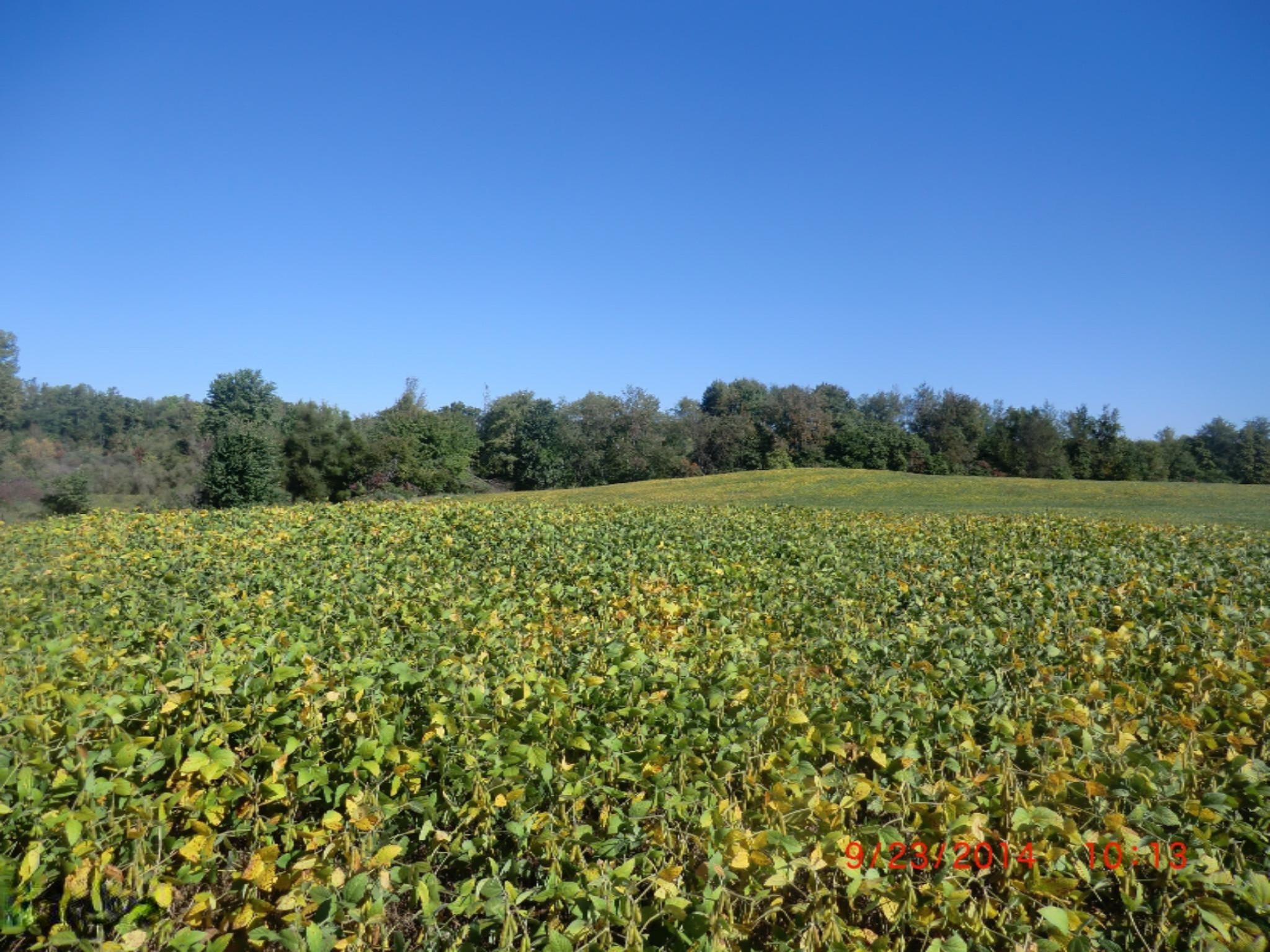 V/l Cassopolis Road Cassopolis, MI 49031 - Photo 13 of 15 CIMG9519