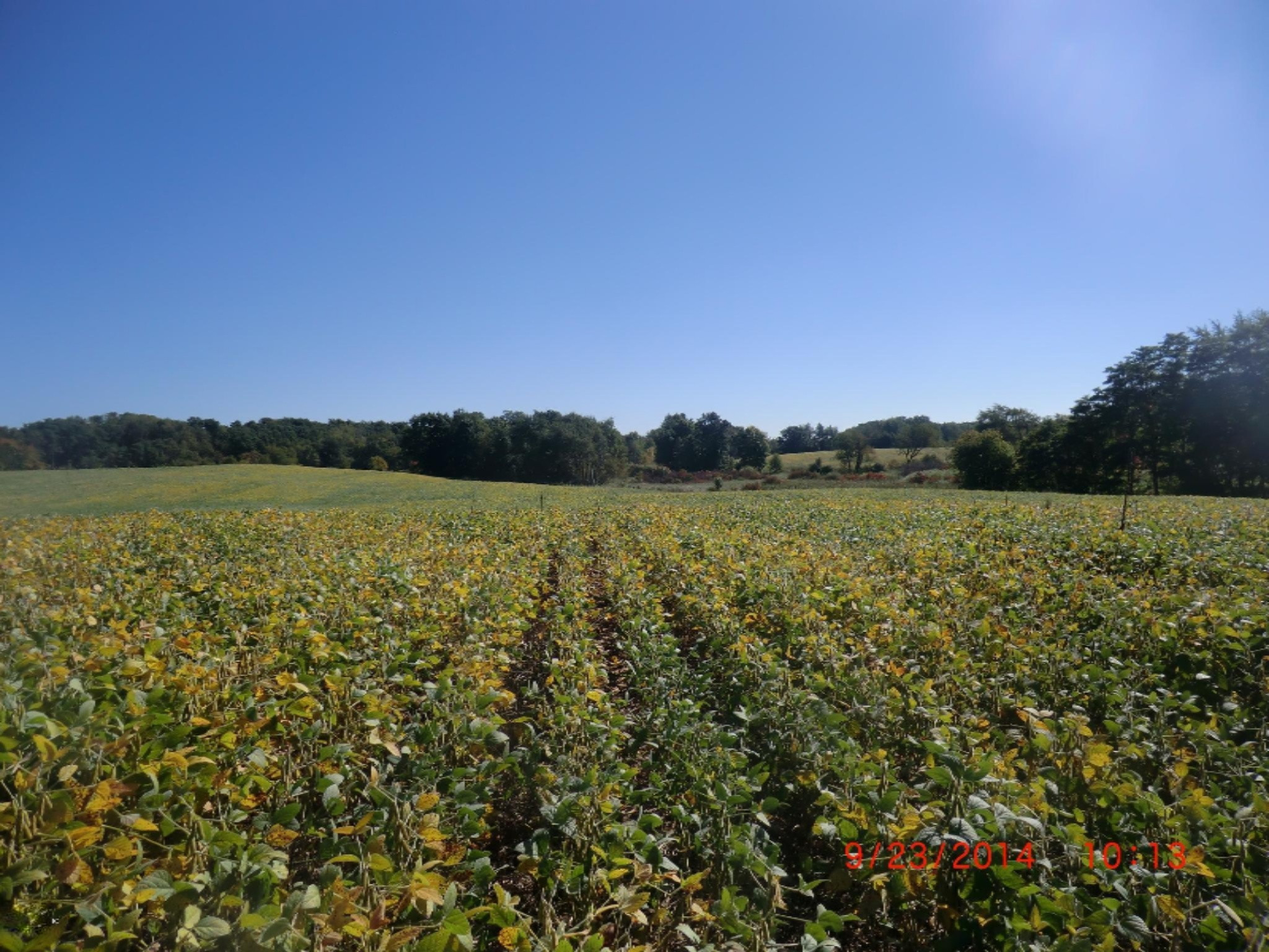 V/l Cassopolis Road Cassopolis, MI 49031 - Photo 14 of 15 CIMG9518