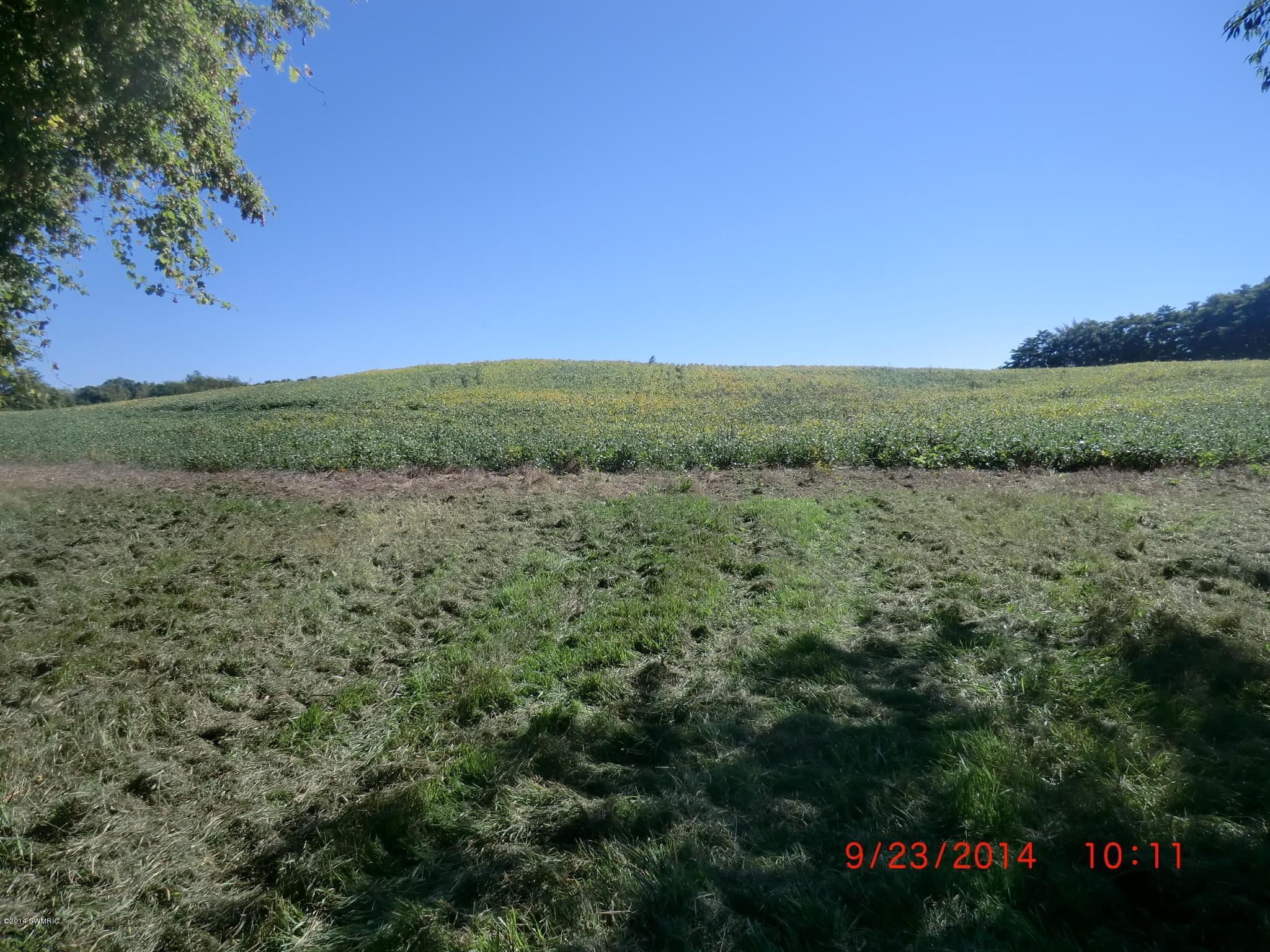 V/l Cassopolis Road Cassopolis, MI 49031 - Photo 15 of 15 CIMG9517