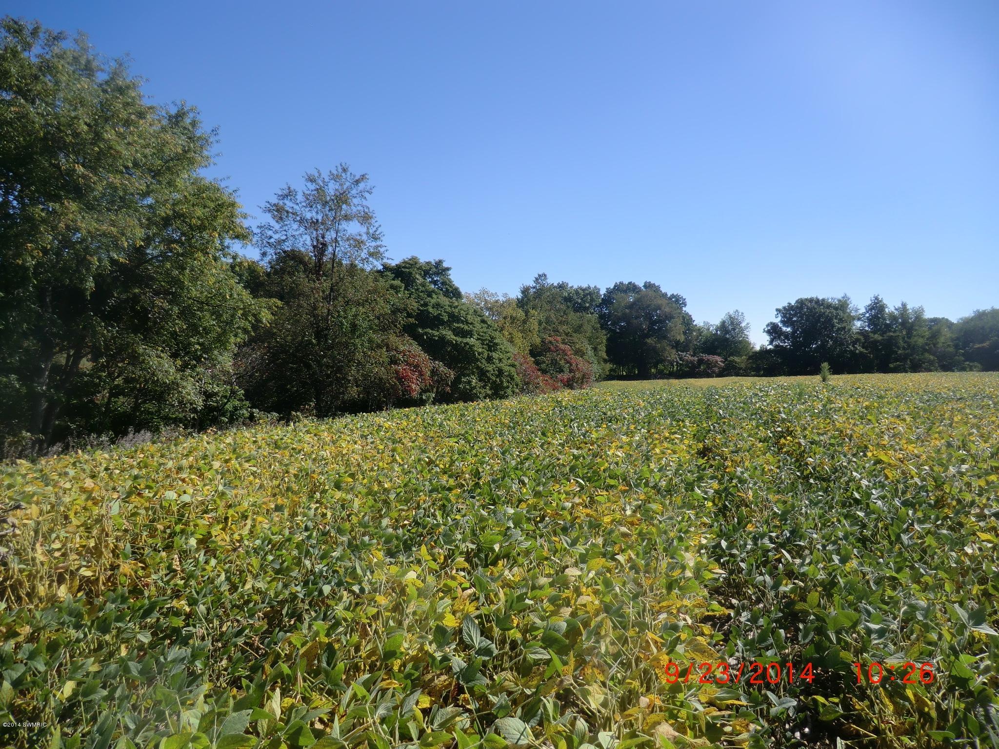 V/l Cassopolis Road Cassopolis, MI 49031 - Photo 2 of 15 CIMG9533