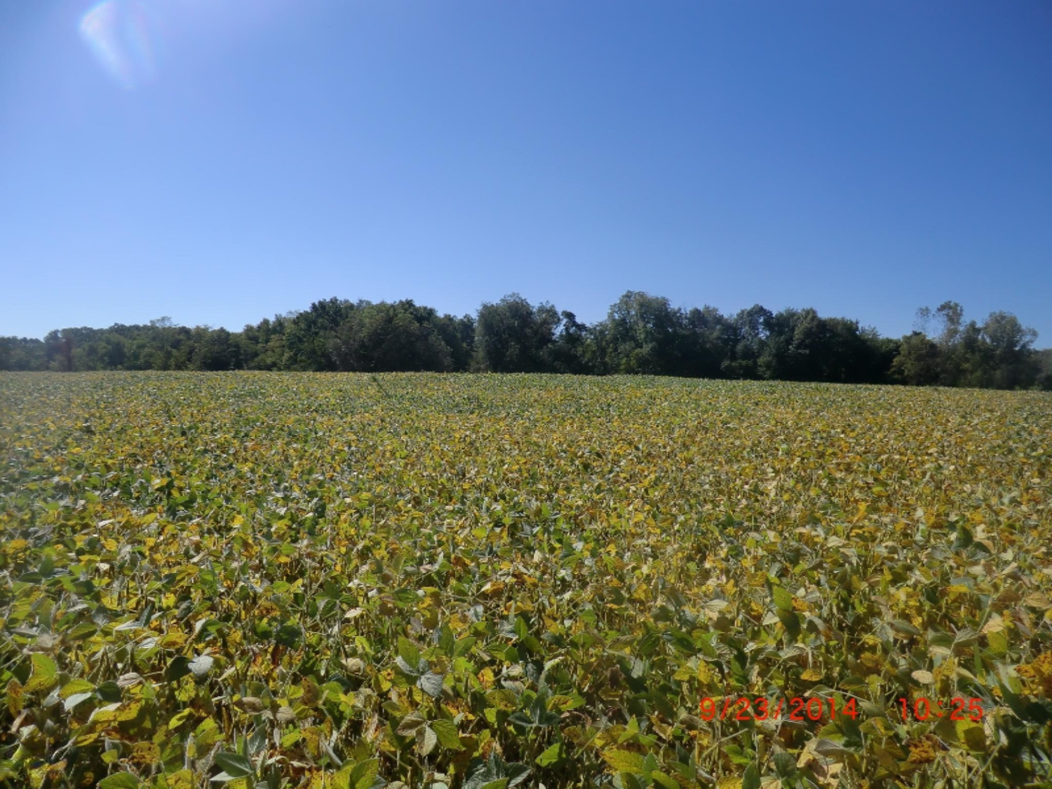 V/l Cassopolis Road Cassopolis, MI 49031 - Photo 4 of 15 CIMG9530