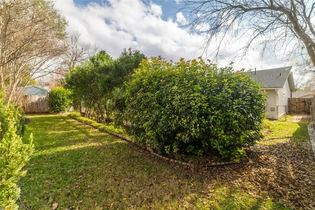 a view of a yard with plants and large trees