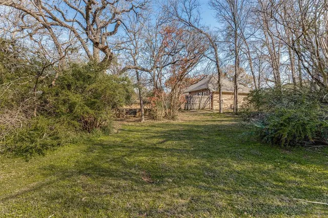 a view of backyard with green space