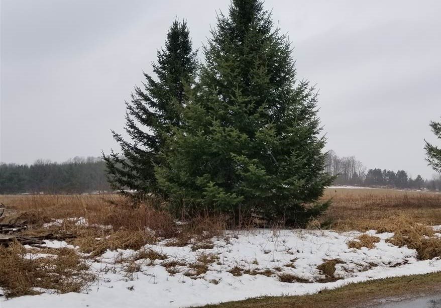 0 School House Road Wittenberg, WI 54499 - Photo 1 of 1