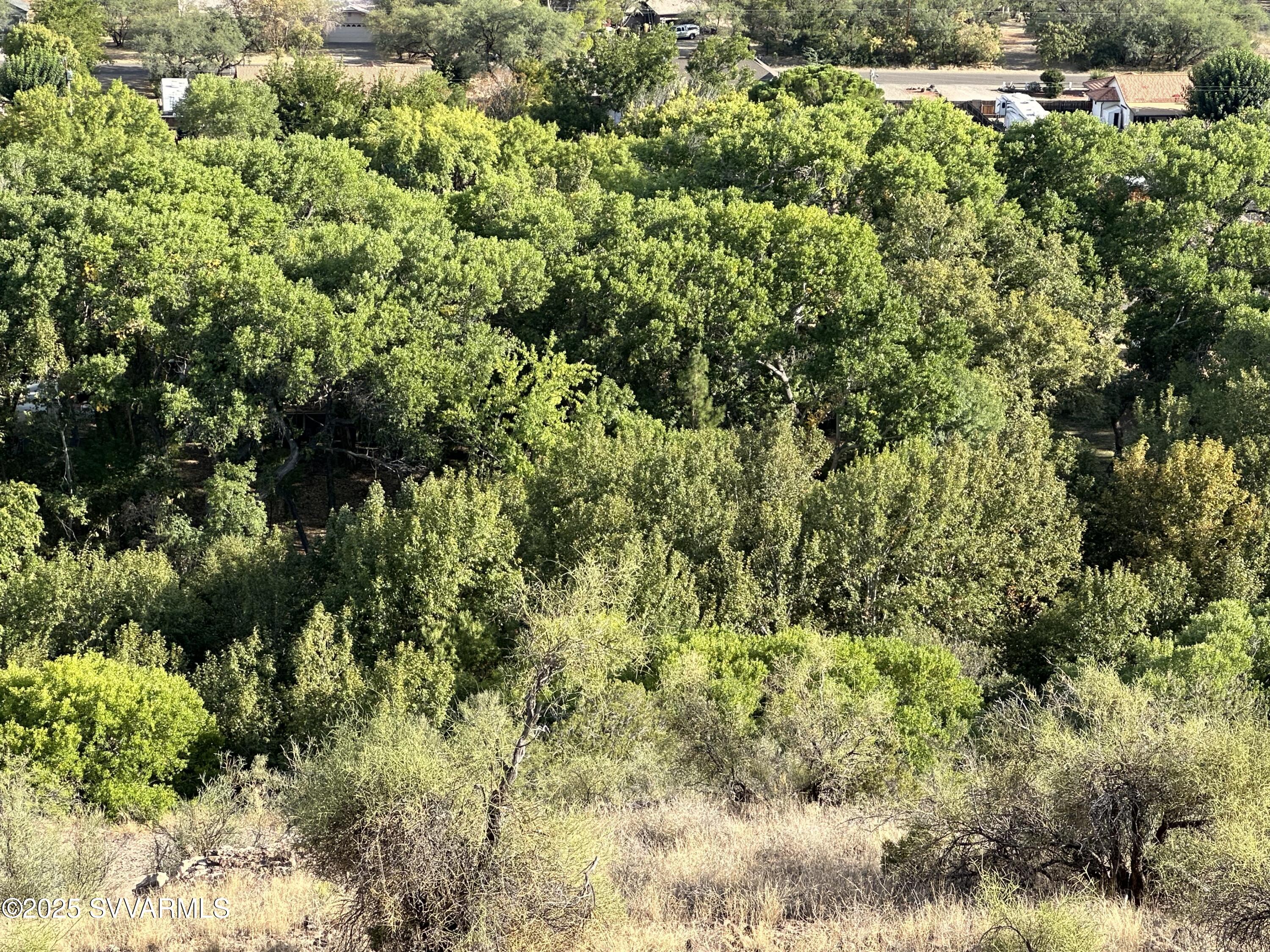 4770 Thunderhead Trail, Unit 228 Rimrock, AZ 86335 - Photo 17 of 29 a view of a garden with a tree