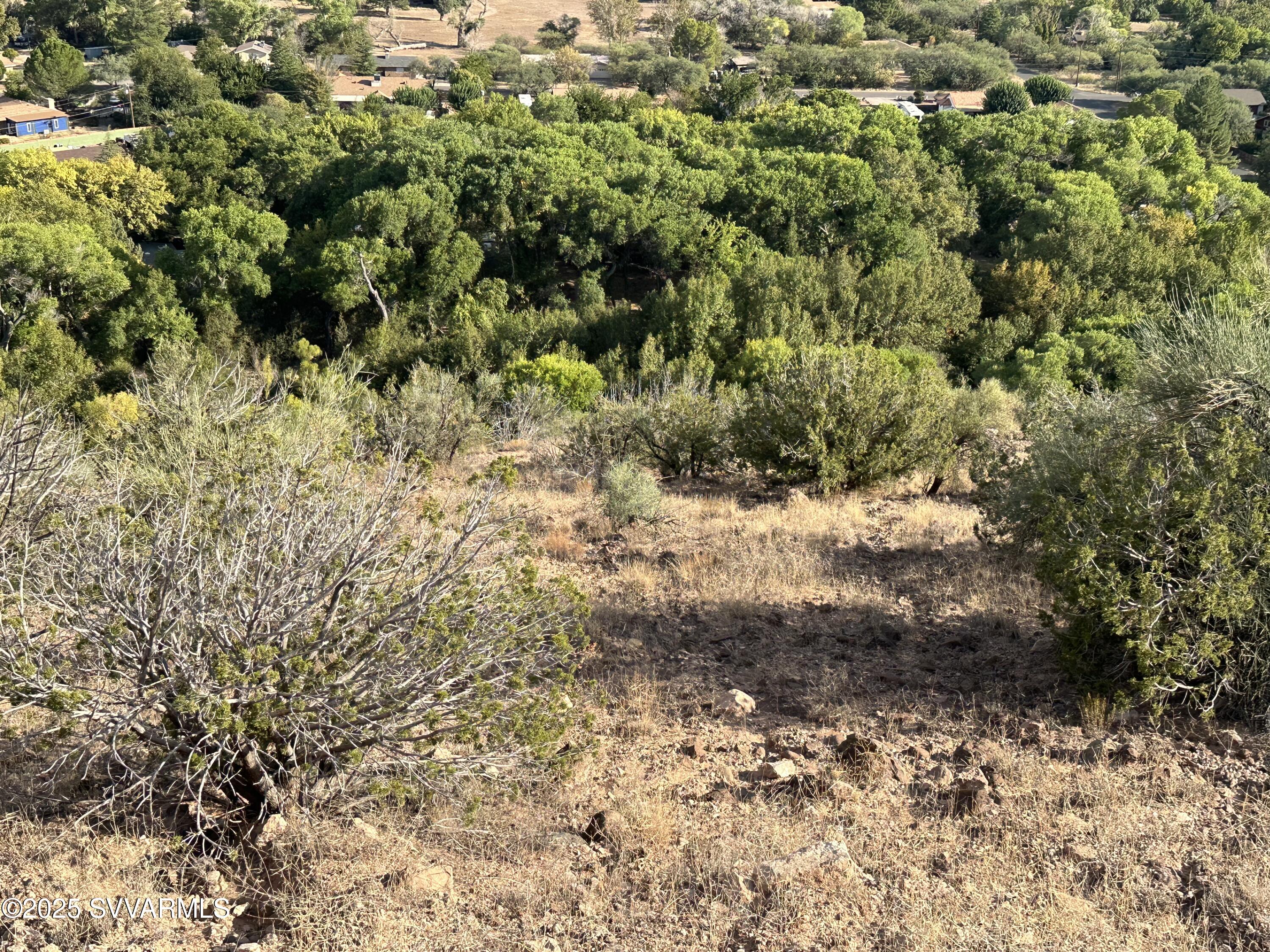 4770 Thunderhead Trail, Unit 228 Rimrock, AZ 86335 - Photo 5 of 29 a view of a yard with plants