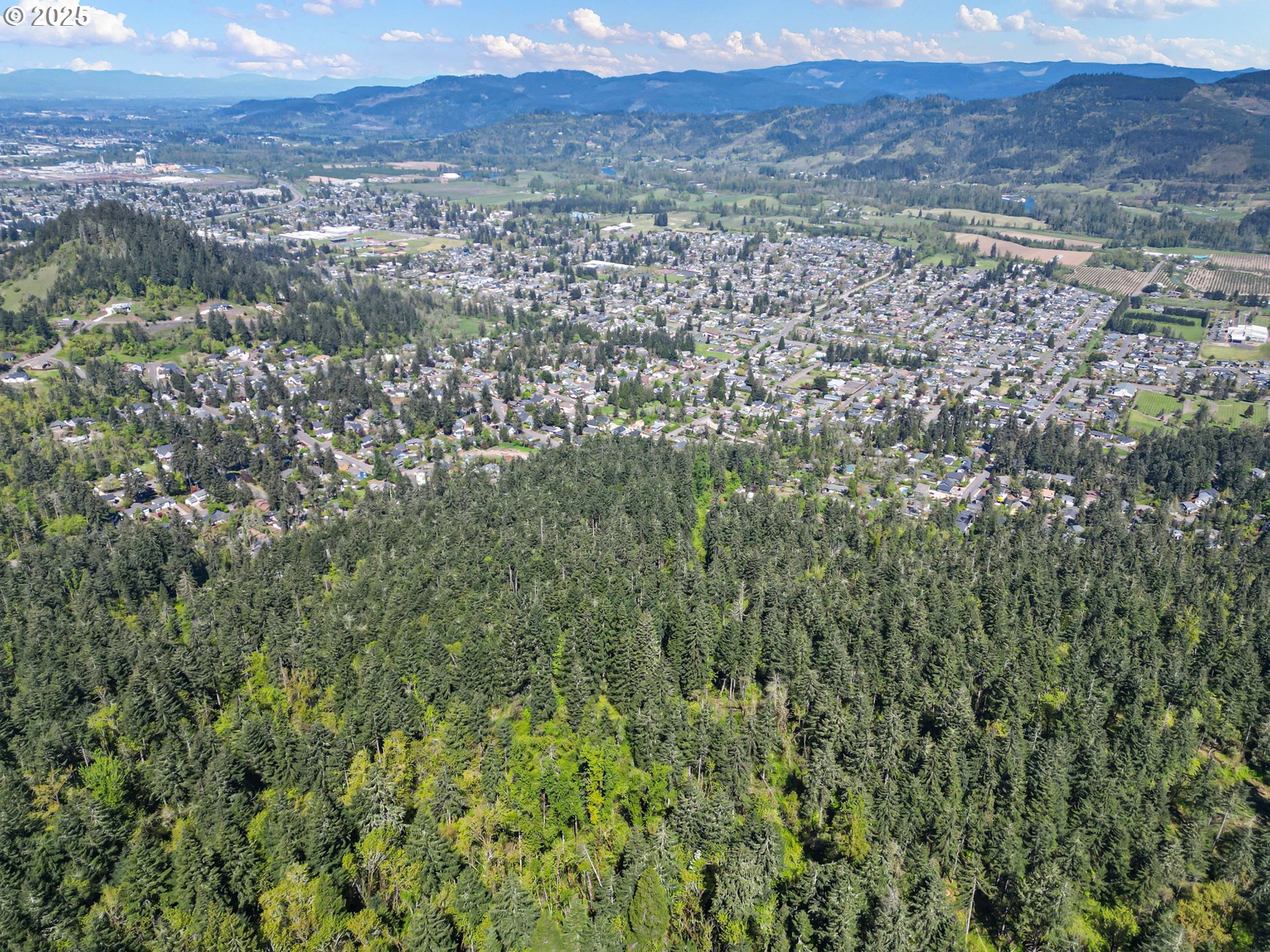 71st Street Springfield, OR 97478 - Photo 11 of 37