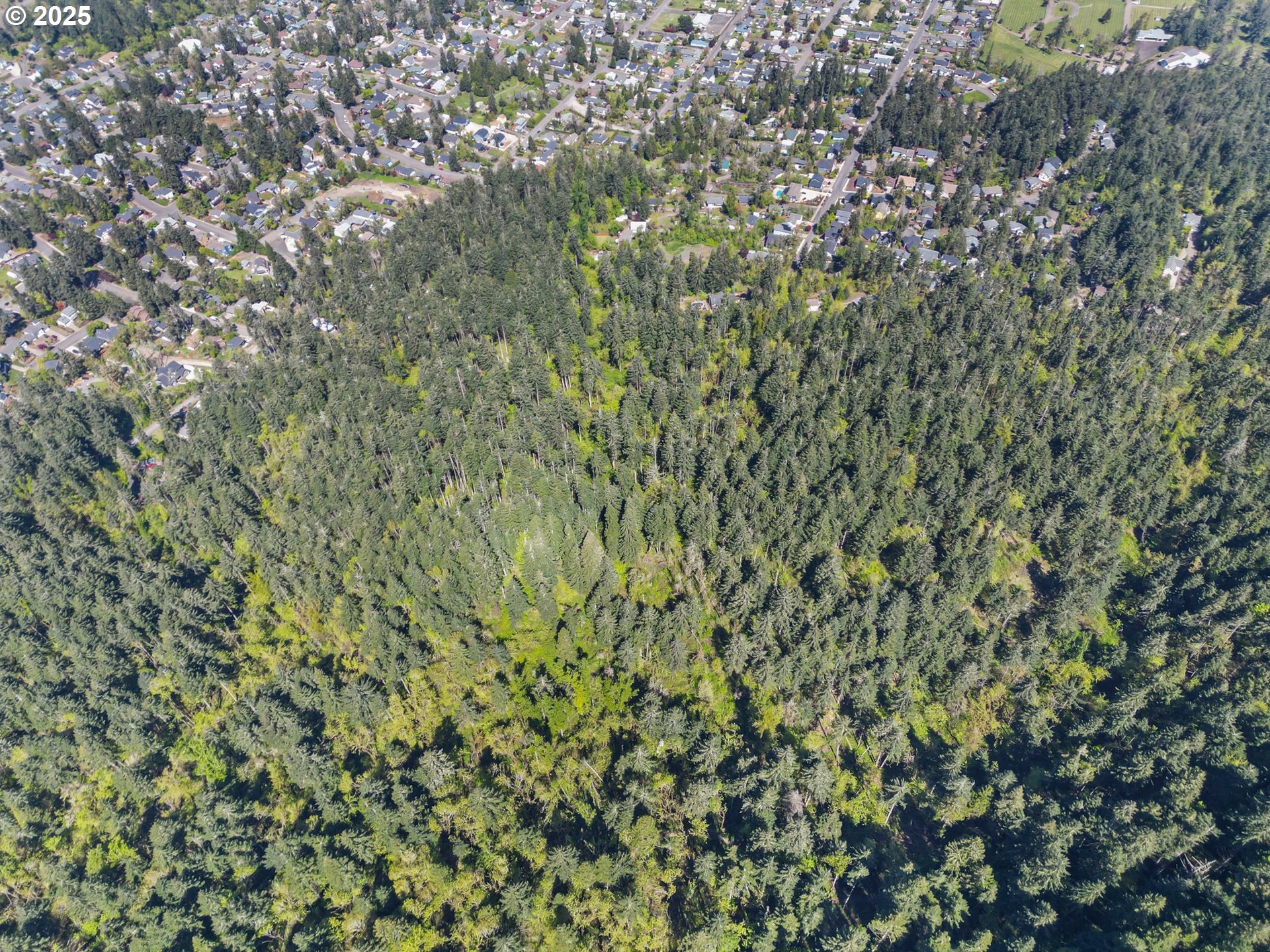 71st Street Springfield, OR 97478 - Photo 18 of 37