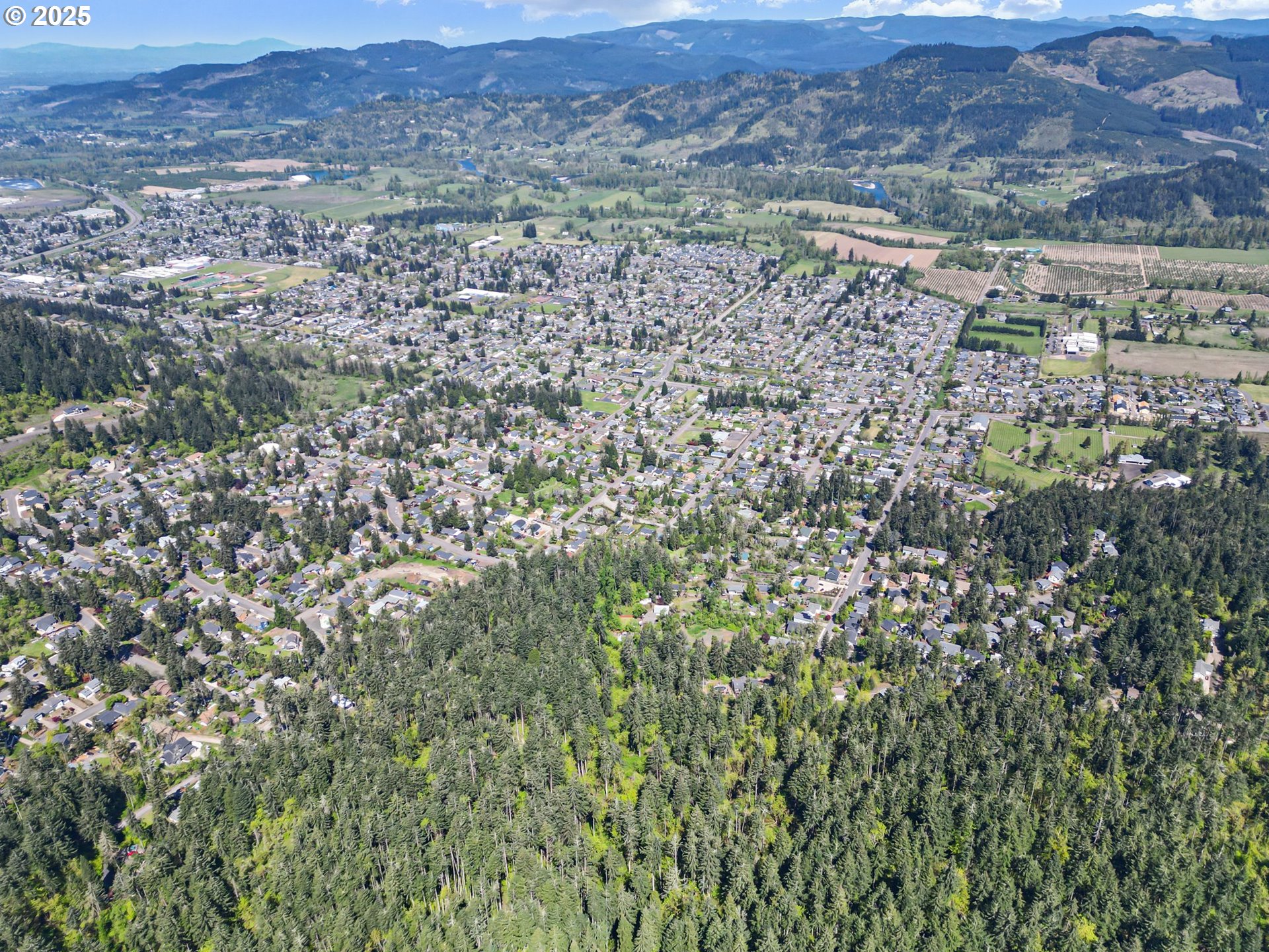 71st Street Springfield, OR 97478 - Photo 19 of 37