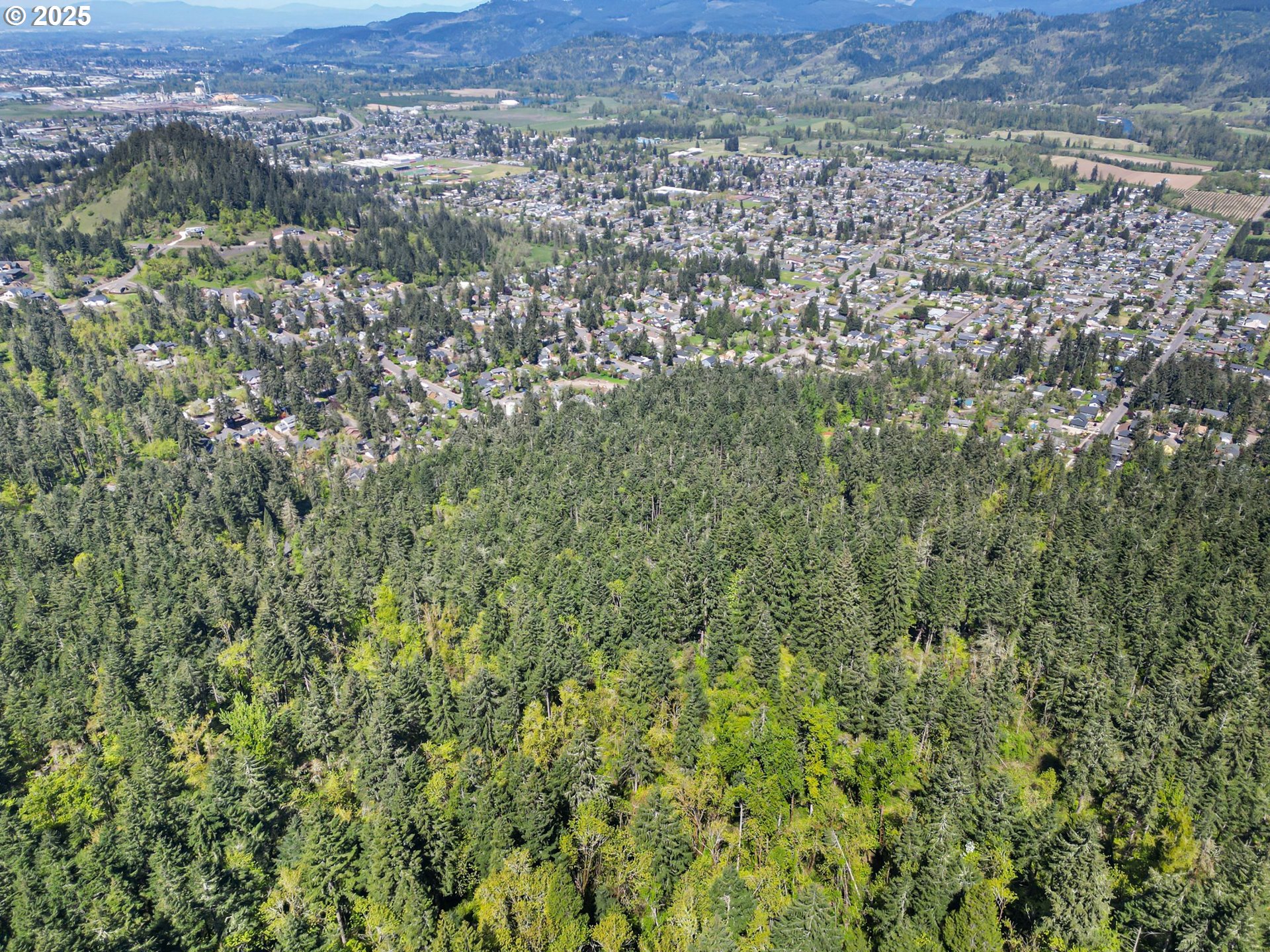 71st Street Springfield, OR 97478 - Photo 26 of 37