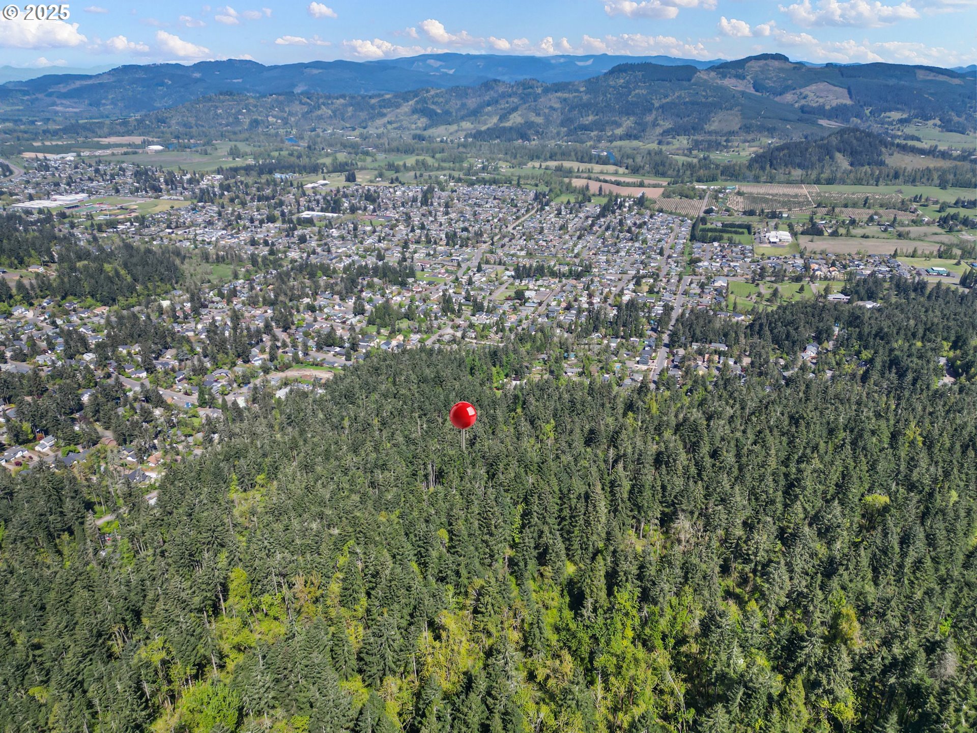 71st Street Springfield, OR 97478 - Photo 3 of 37