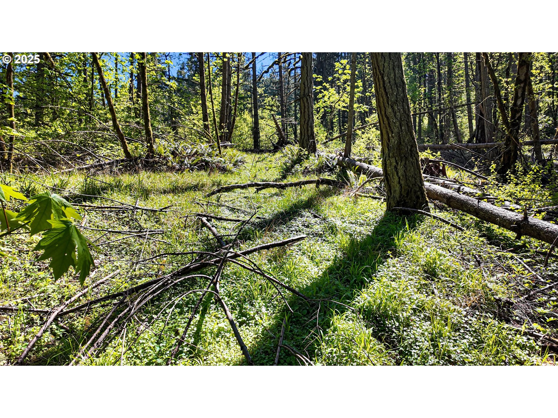 71st Street Springfield, OR 97478 - Photo 32 of 37