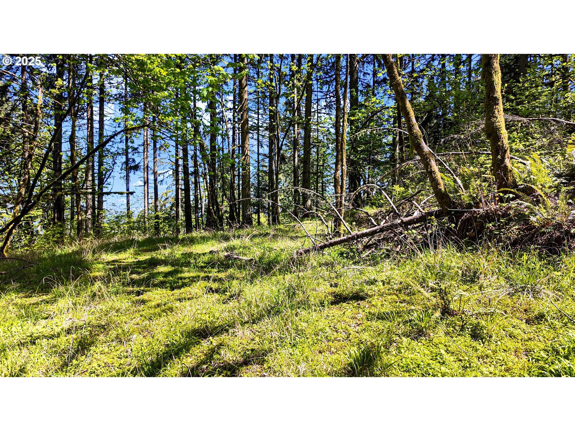 71st Street Springfield, OR 97478 - Photo 33 of 37