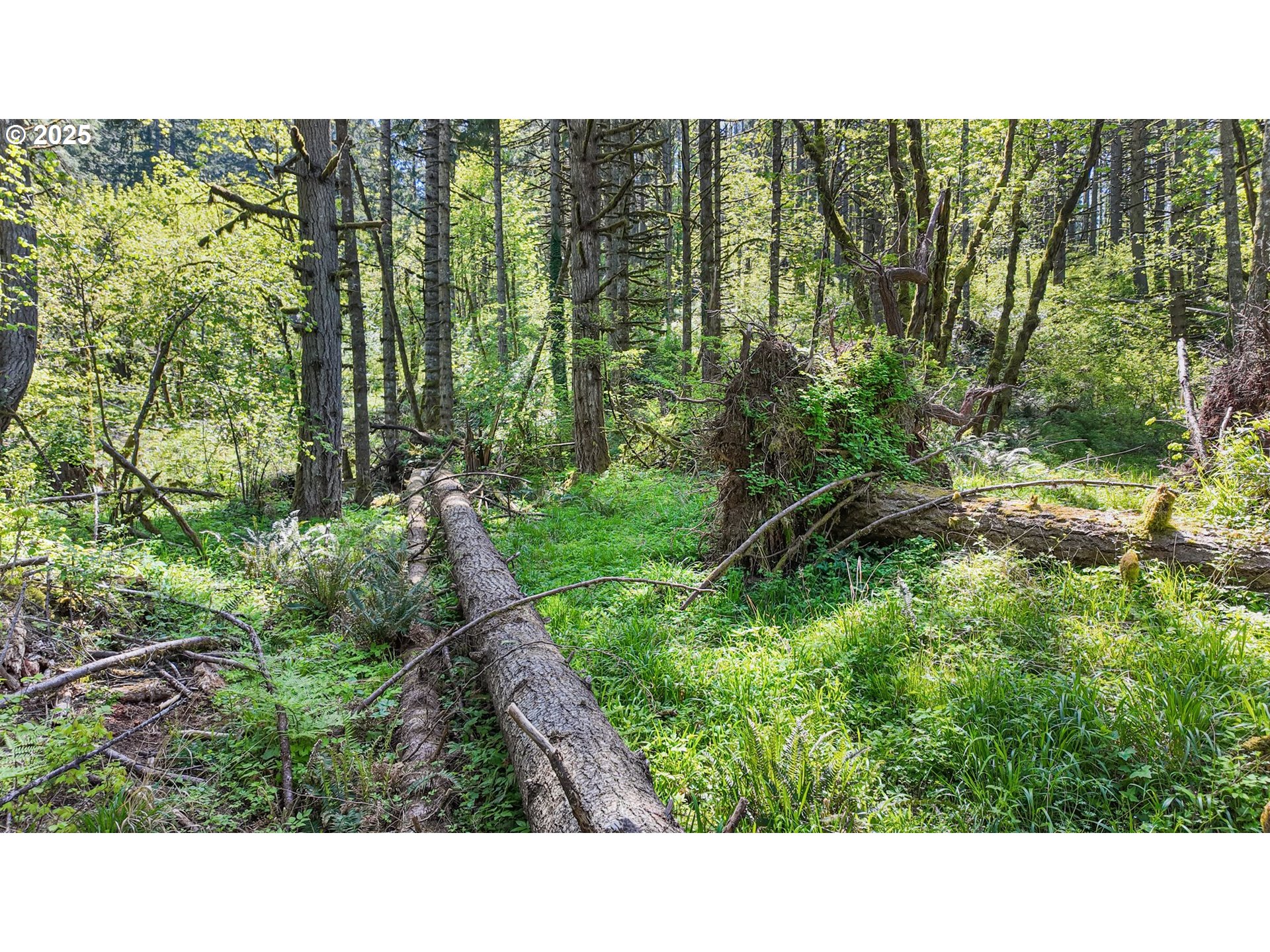 71st Street Springfield, OR 97478 - Photo 35 of 37