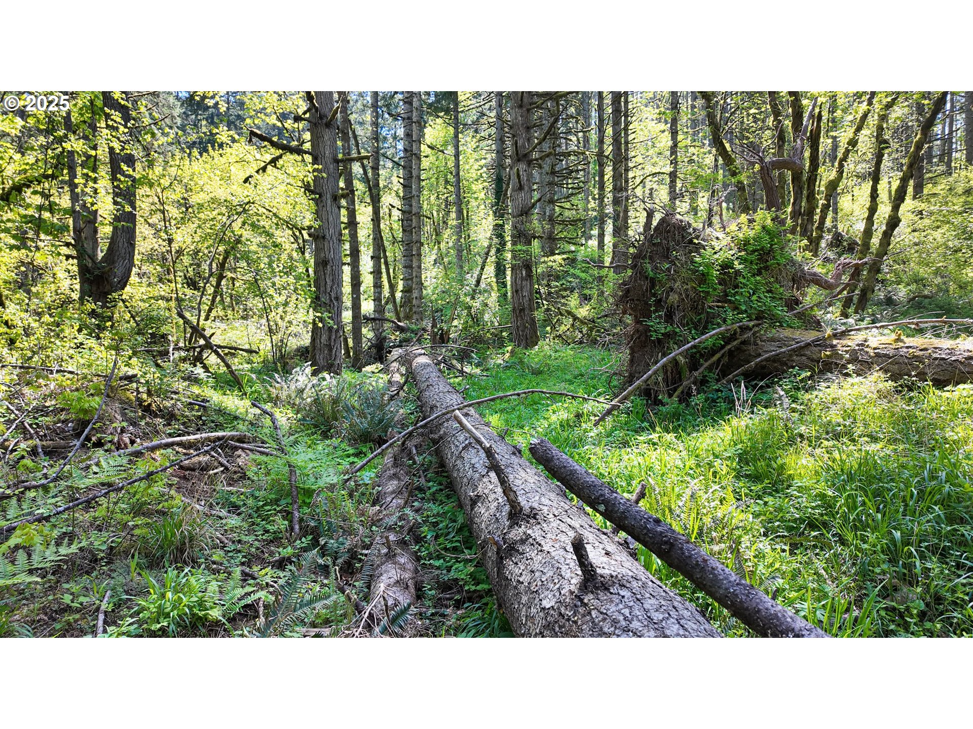 71st Street Springfield, OR 97478 - Photo 37 of 37