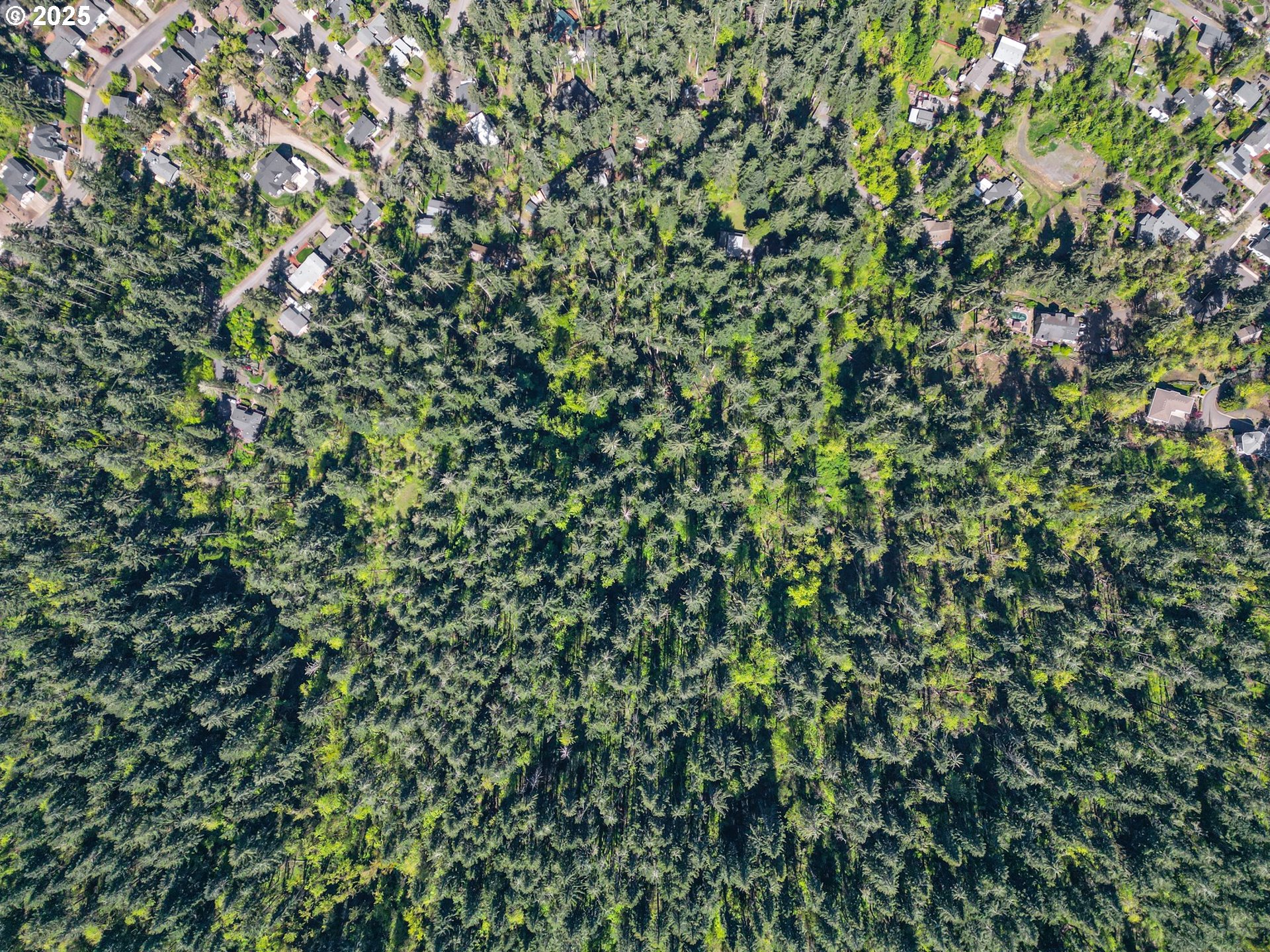 71st Street Springfield, OR 97478 - Photo 9 of 37