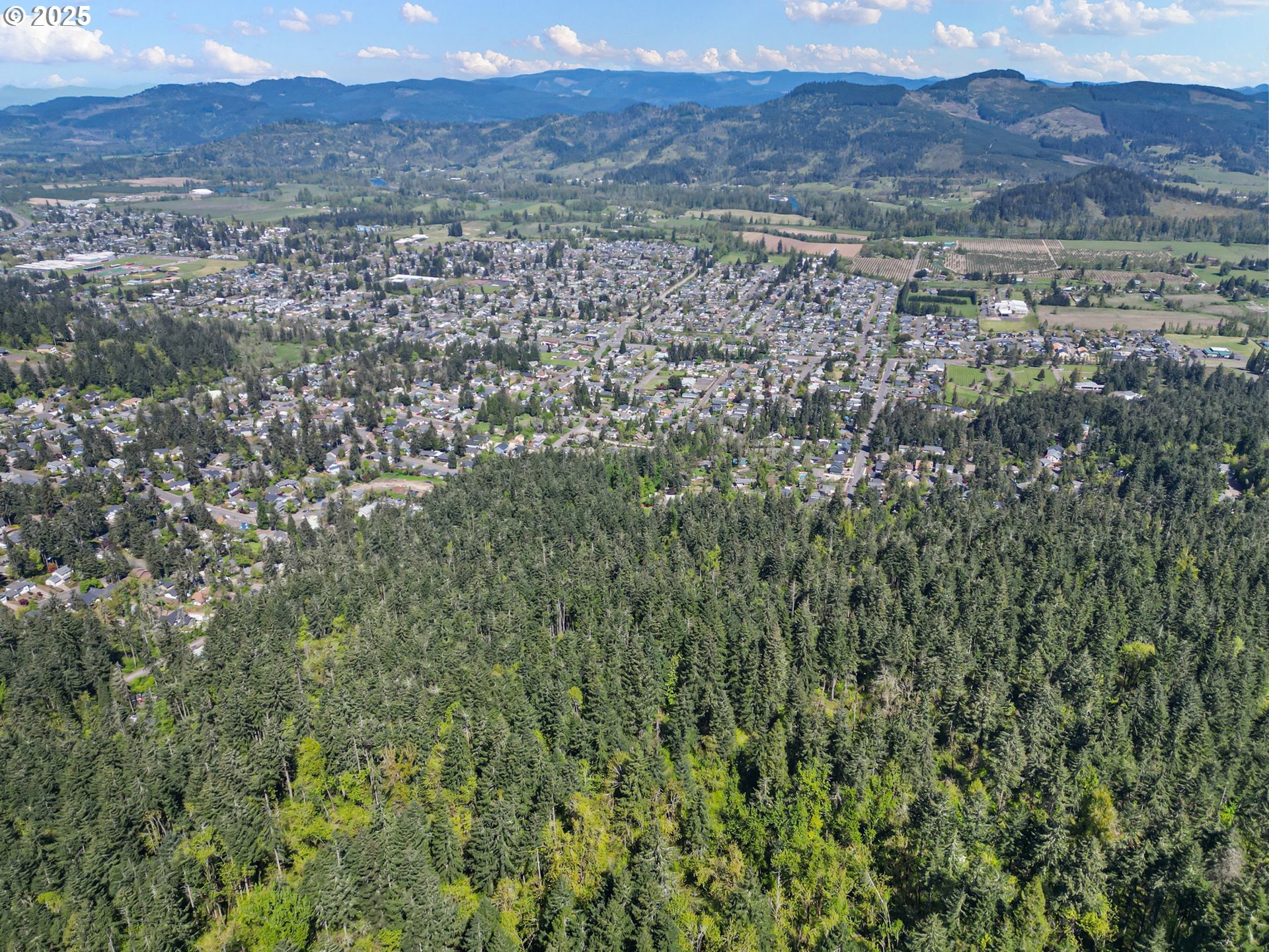 71st Street Springfield, OR 97478 - Photo 10 of 37