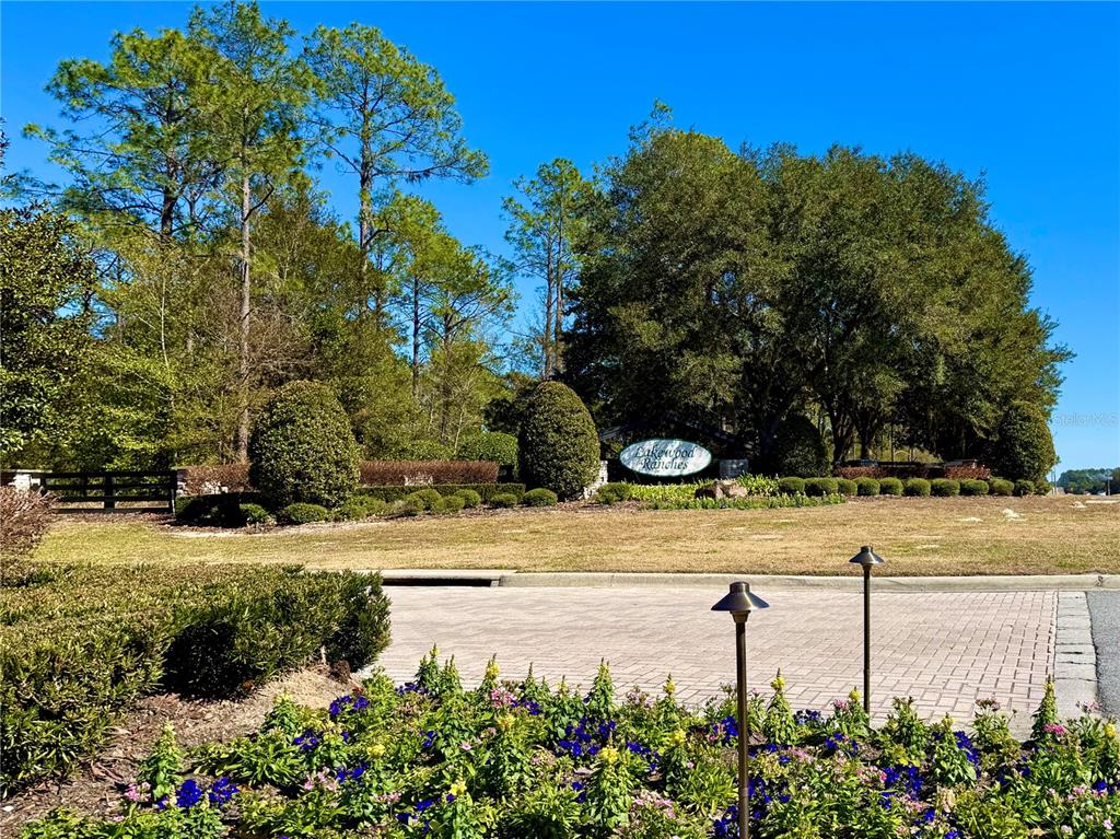 a view of a yard with plants