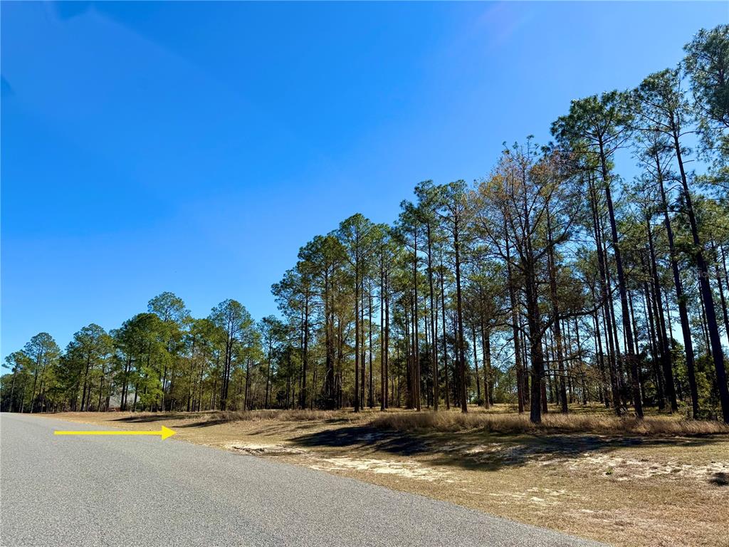 35135 Pinegate Trail Eustis, FL 32736 - Photo 12 of 23 a backyard of a house with lots of green space