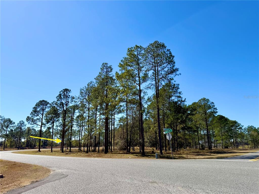 35135 Pinegate Trail Eustis, FL 32736 - Photo 13 of 23 a view of road with trees