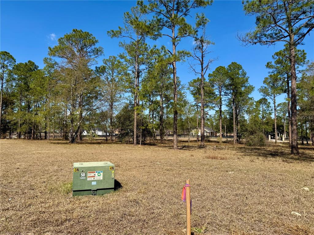 35135 Pinegate Trail Eustis, FL 32736 - Photo 18 of 23 a view of a park with large trees