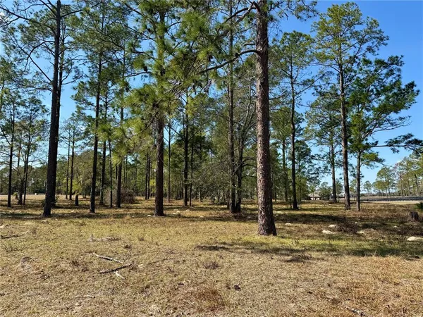 a view of road with trees