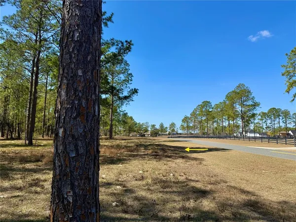 $449,000 | 35135 Pinegate Trail, Eustis, FL 32736