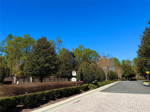a outdoor space with lots of palm trees