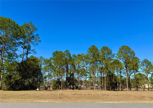 a view of outdoor space with trees