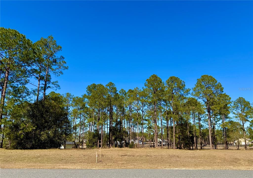 35135 Pinegate Trail Eustis, FL 32736 - Photo 7 of 23 a view of a yard