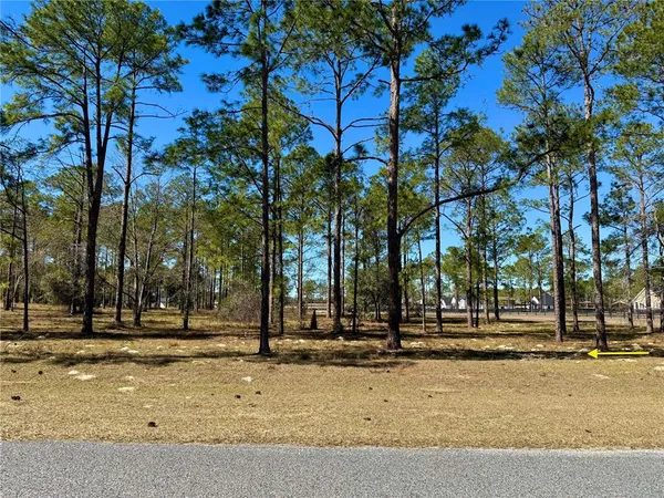 a view of a yard with a house in the background