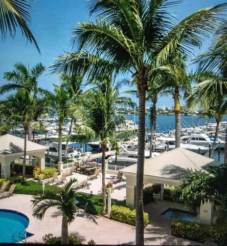 a row of palm trees and swimming pool