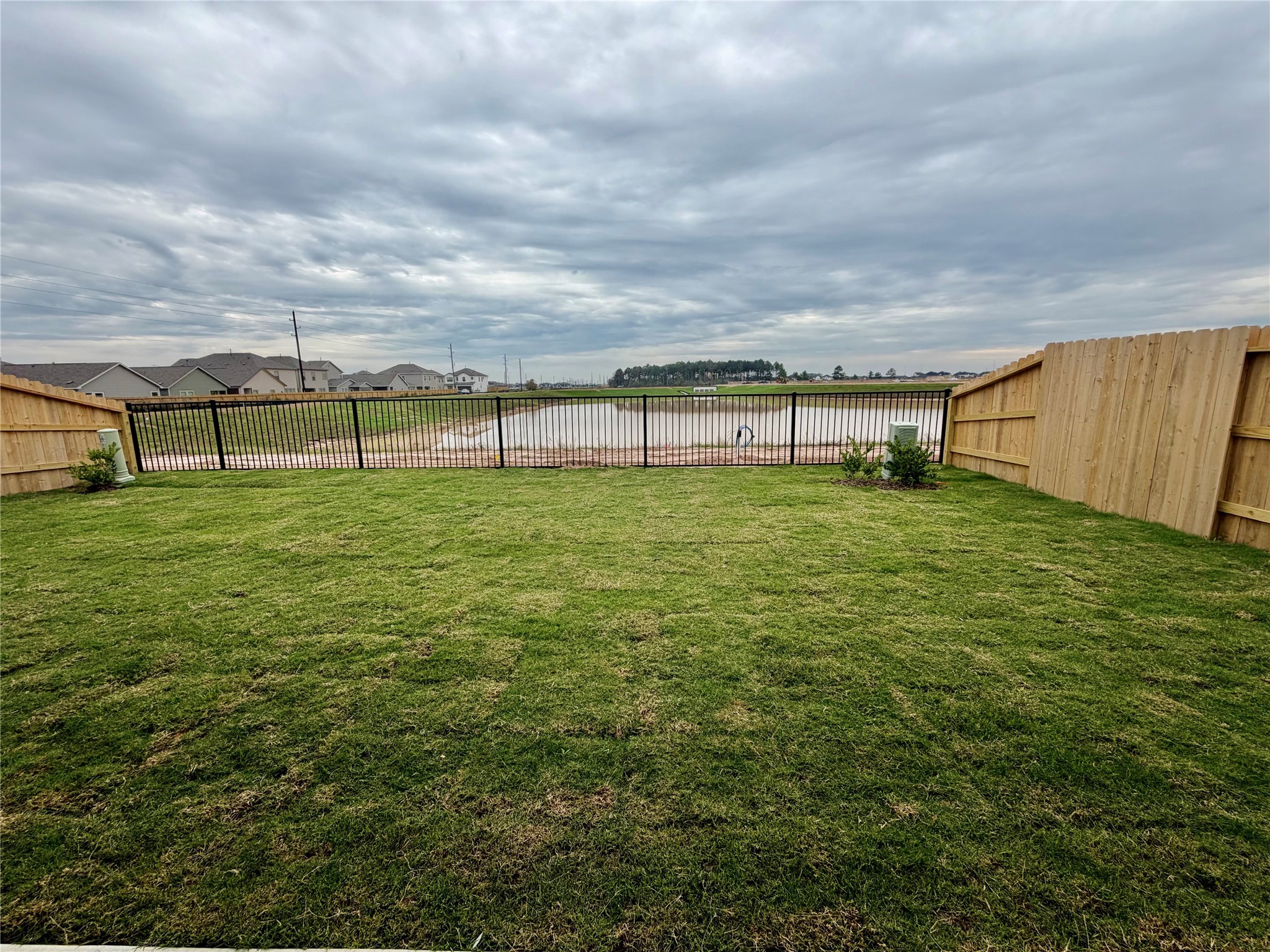 21807 Black Tulip Lane Cypress, TX 77433 - Photo 25 of 25