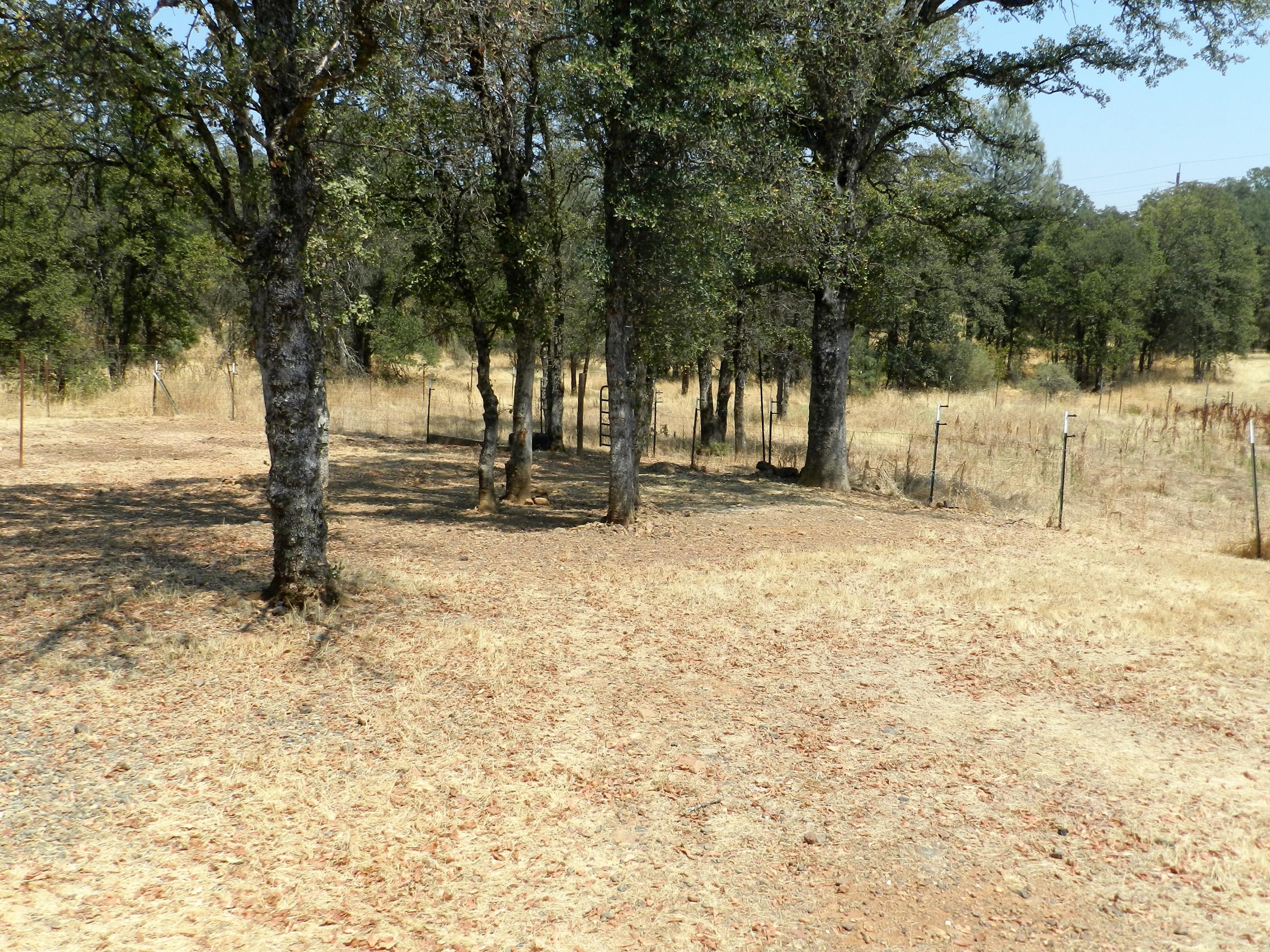 6280 Oasis Road Redding, CA 96003 - Photo 26 of 37 DSCN3948