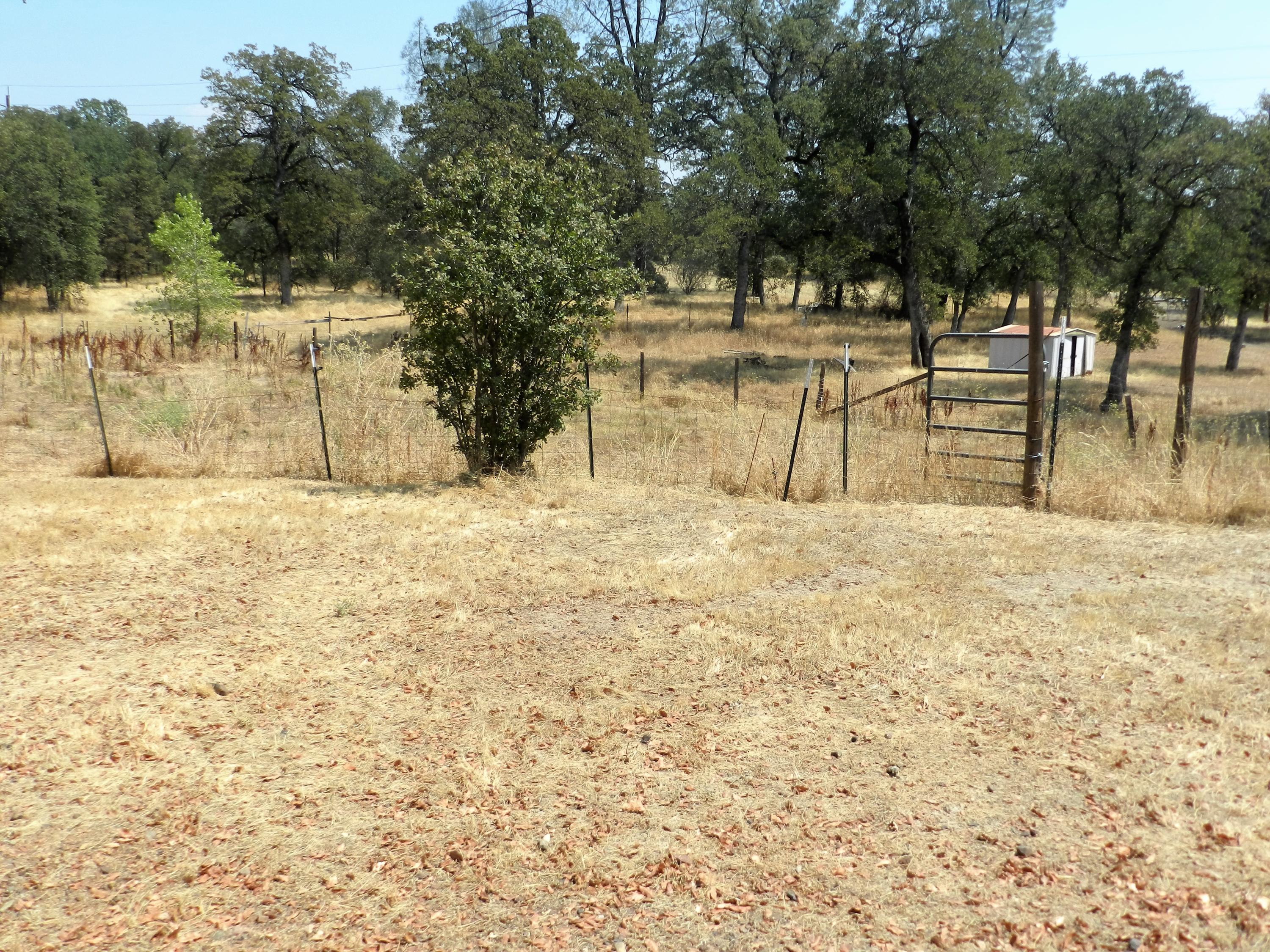 6280 Oasis Road Redding, CA 96003 - Photo 27 of 37 DSCN3947