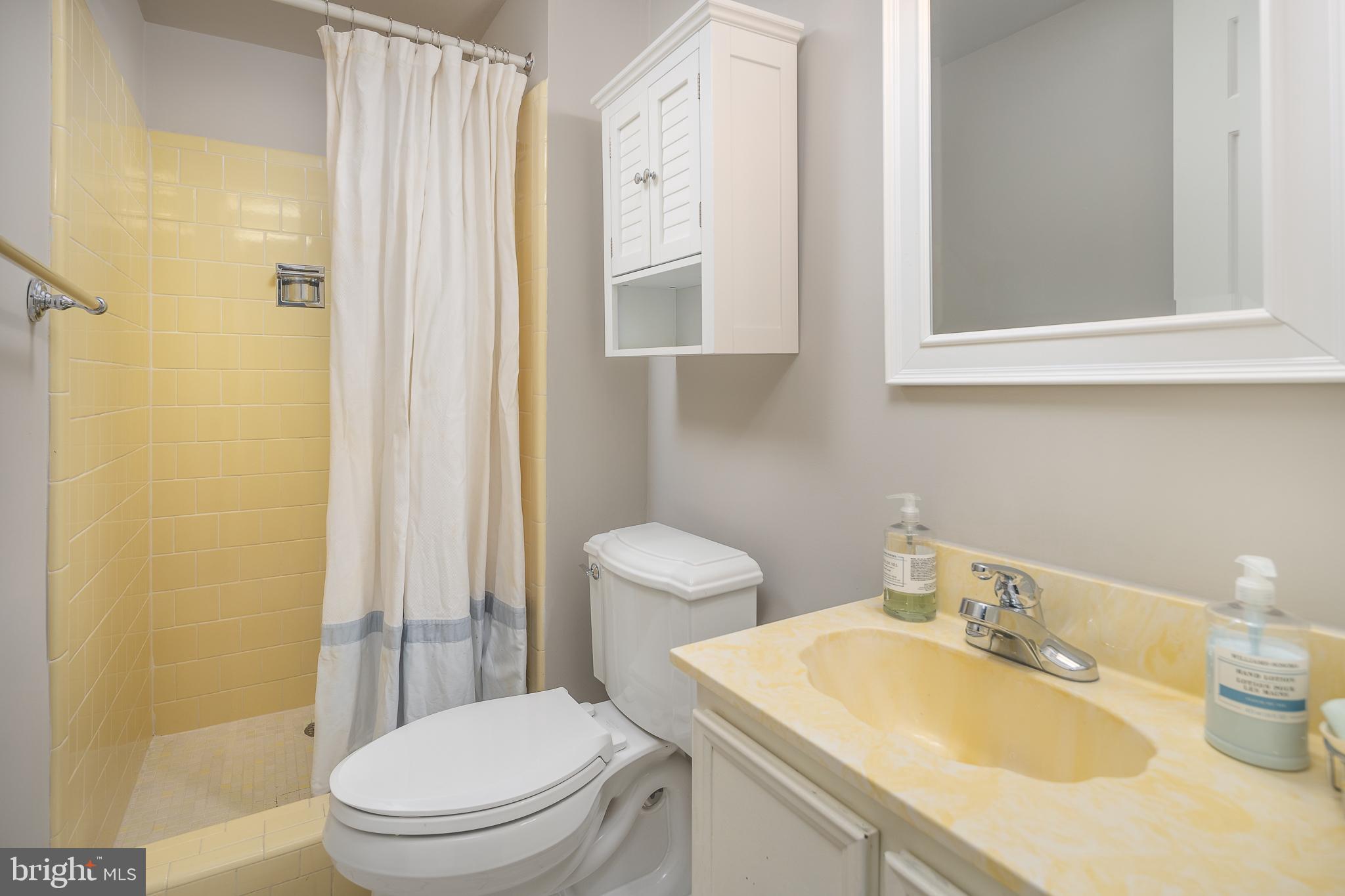 6311 Golf Course Square Alexandria, VA 22307 - Photo 24 of 39 a bathroom with a sink a toilet and shower curtain