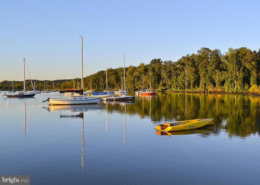 6311 Golf Course Square Alexandria, VA 22307 - Photo 36 of 39 a view of a lake