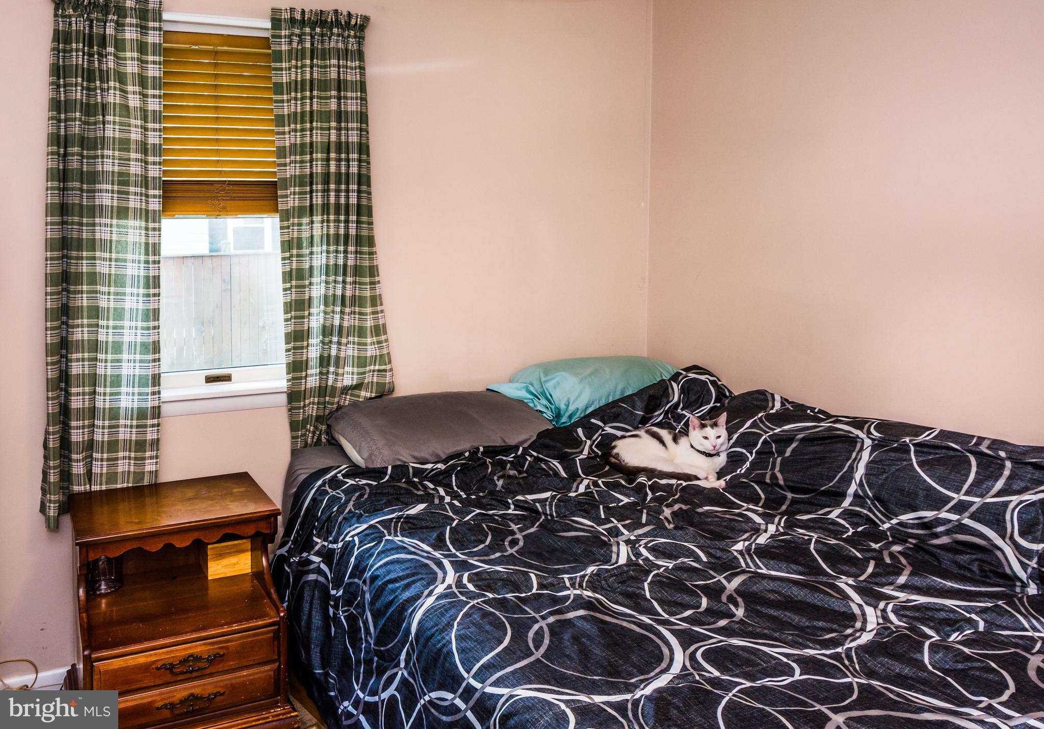 809 Mason Road Stevensville, MD 21666 - Photo 23 of 49 Bedroom 2 (view 3)