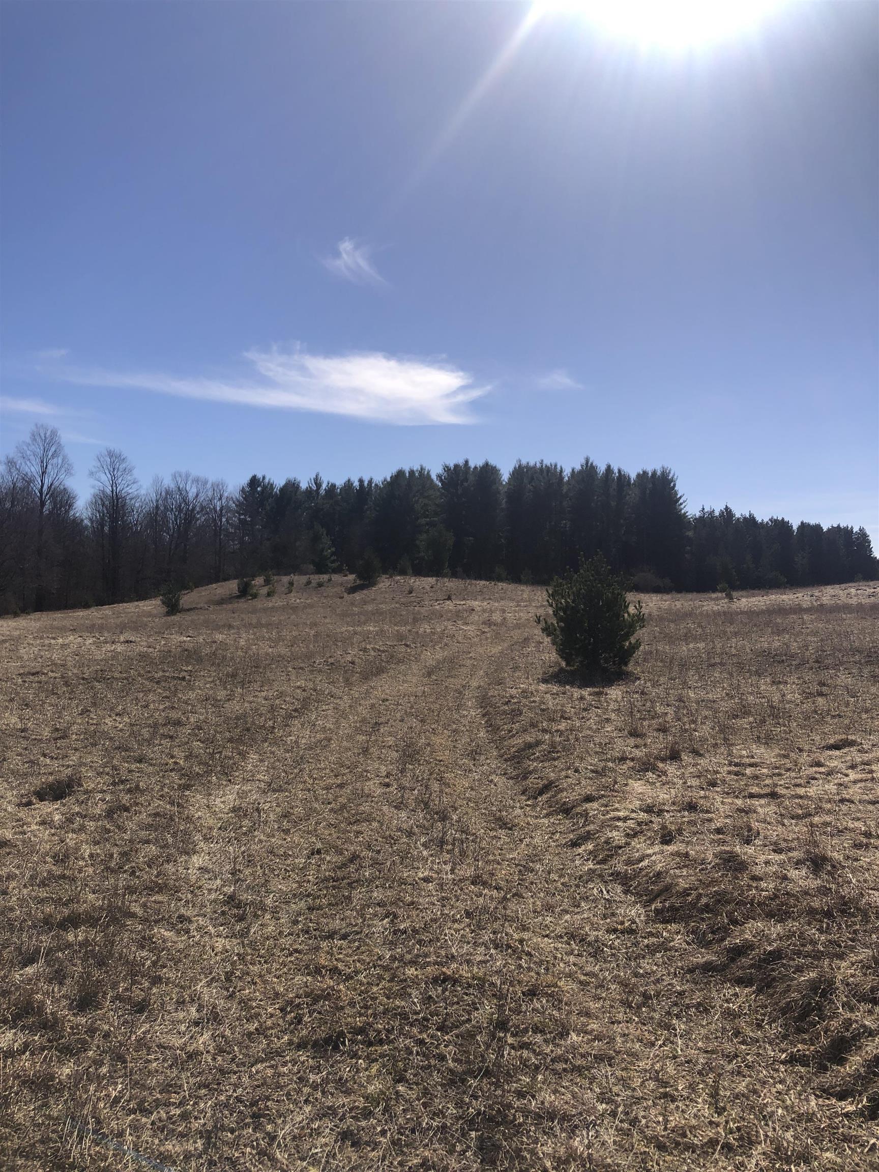 9 South 9 Mile Road Copemish, MI 49625 - Photo 7 of 35