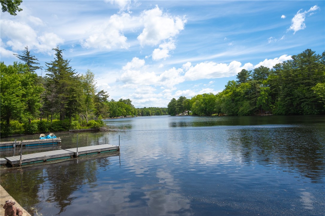 36 Pine Tree Road Coventry, RI 02816 - Photo 3 of 45 Paddle your way through the waterways of Big River Management Area for miles!