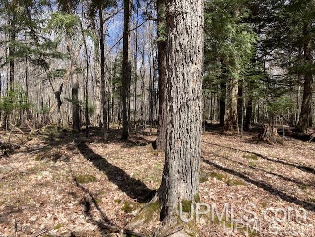 Lot 1 Wizard Road Watersmeet, MI 49969 - Photo 19 of 26 Gallery Image 19