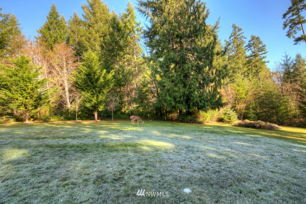 370 East Haskell Hill Road Shelton, WA 98584 - Photo 25 of 25 Gallery Image 25