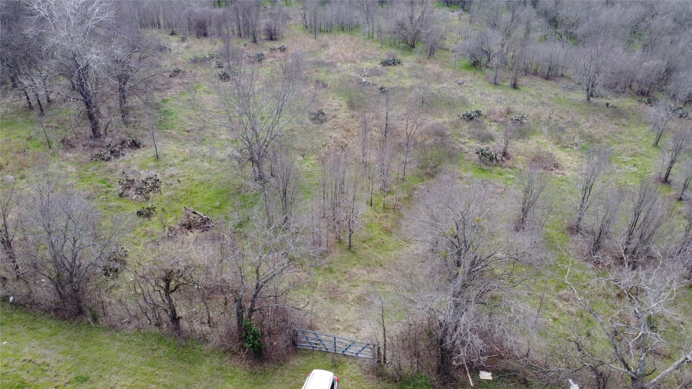a backyard of a house with lots of plants and trees
