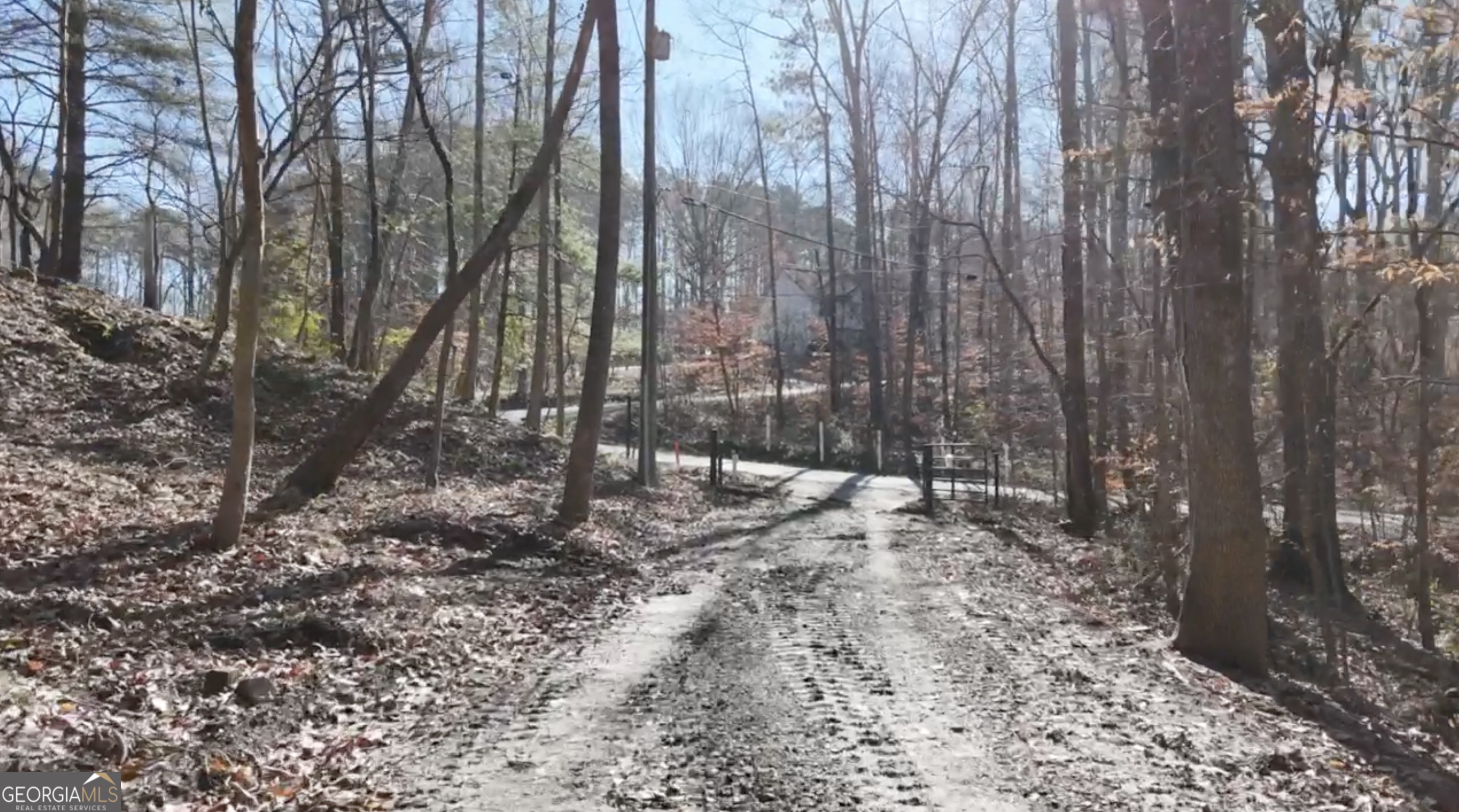 6137 Little Ridge Road, Unit LOT #3 Acworth, GA 30102 - Photo 29 of 39 a view of a yard with trees
