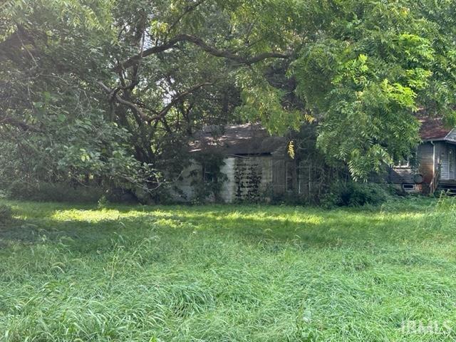 Gallery Image 7