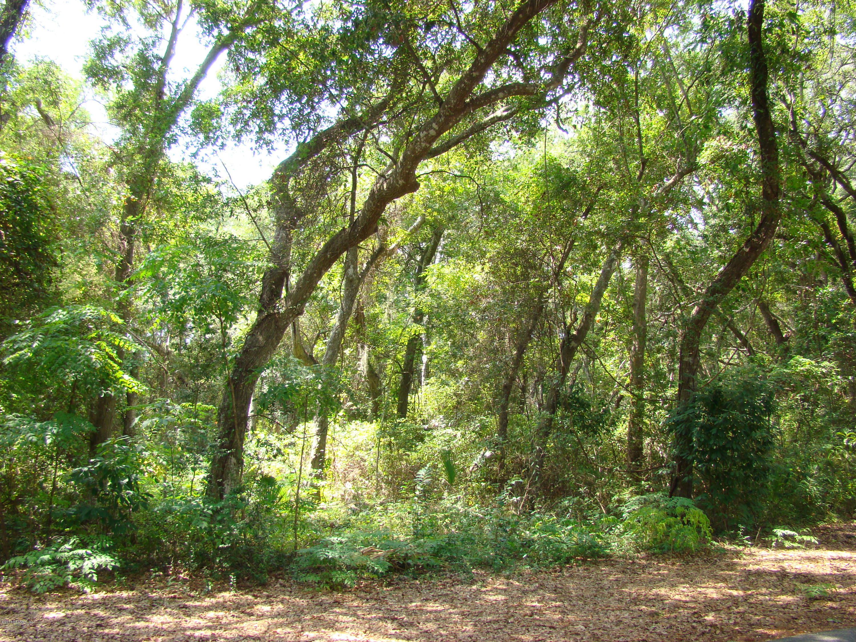 Lot 117 Beach Wood Road Fernandina Beach, FL 32034 - Photo 1 of 7 35 Beach Wood Rd (Lot 117 BWd) 058