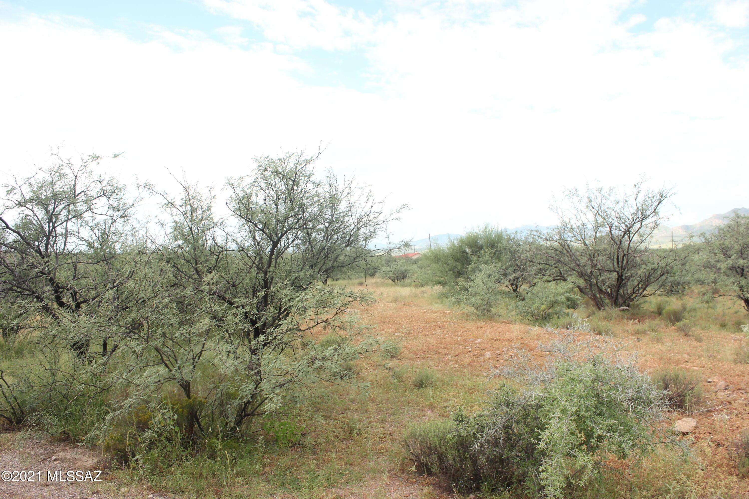 1848 La Paz Court, Unit 61 Rio Rico, AZ 85648 - Photo 1 of 3 a view of a forest with trees in the background