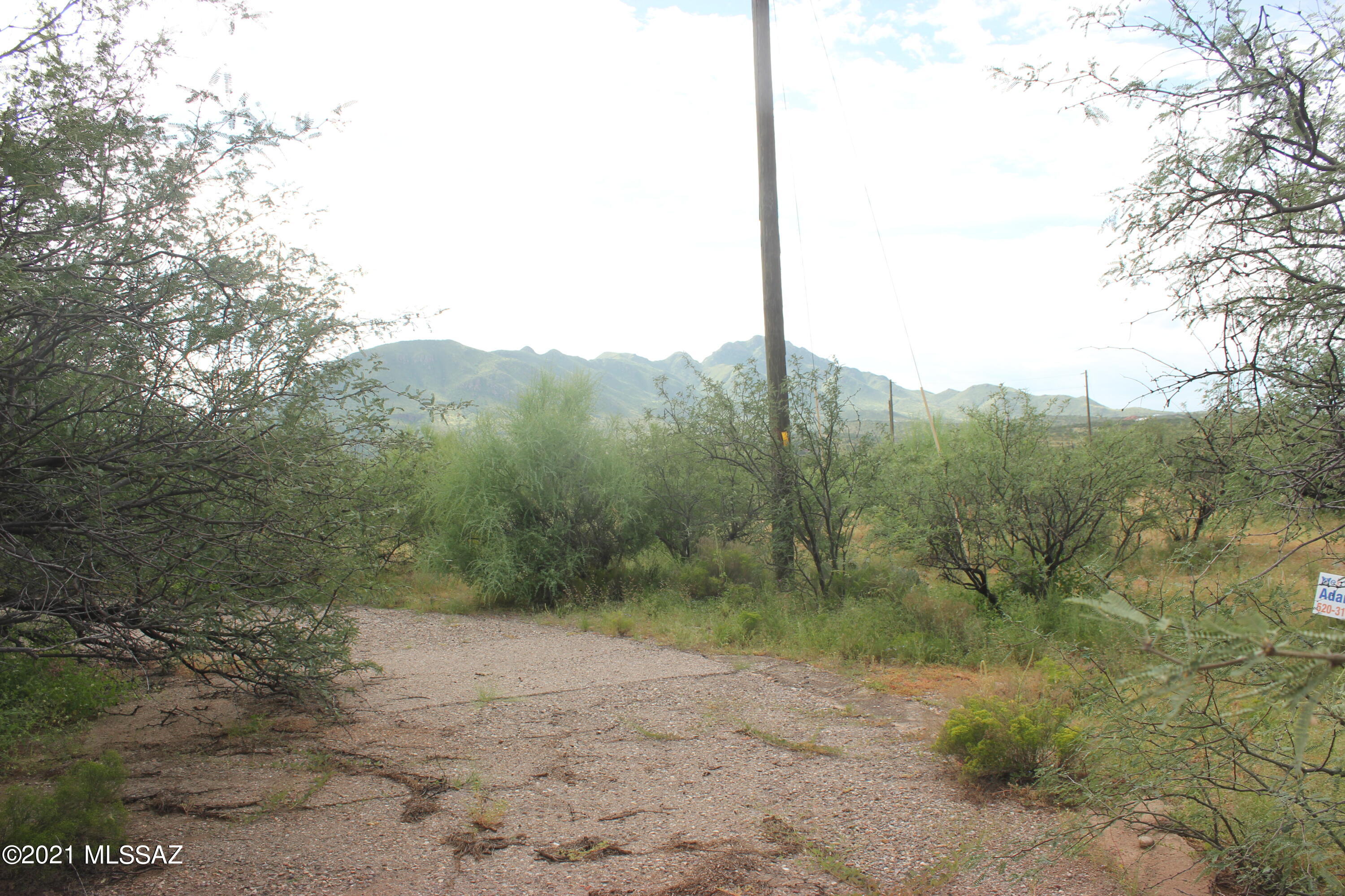 1848 La Paz Court, Unit 61 Rio Rico, AZ 85648 - Photo 3 of 3 a view of a yard with a tree