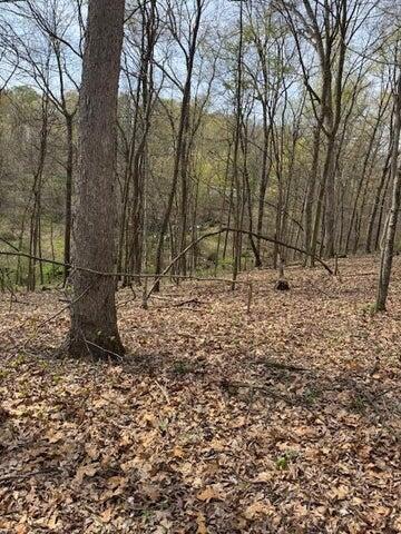 0 Walnut Dowler Road Logan, OH 43138 - Photo 10 of 12 10